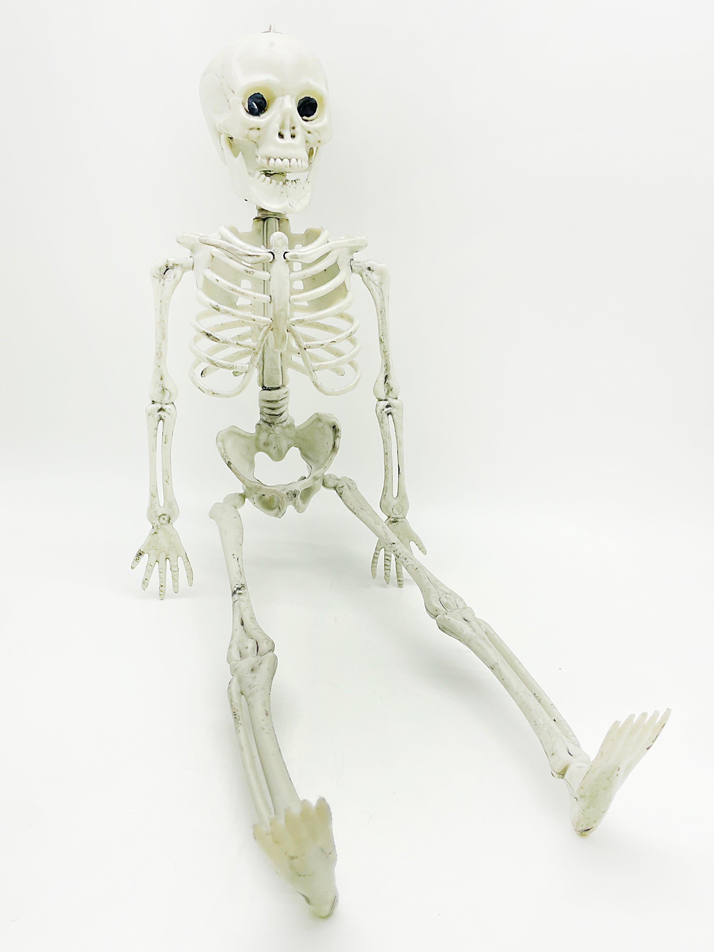 Halloween- Ornamento de Esqueleto