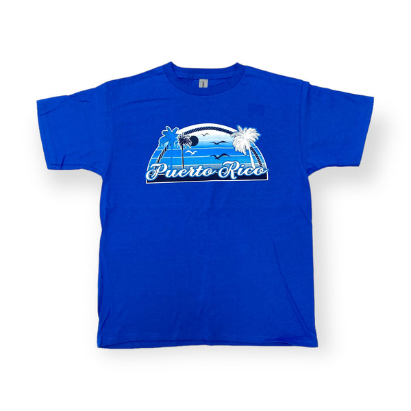 Souvenirs de Puerto Rico - T-Shirts/Camisetas Azules 2 Estilos (Circulan Pequeñas)