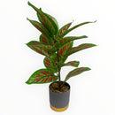 Decorative Artificial Plants - Grey Pot with Gold Trim
