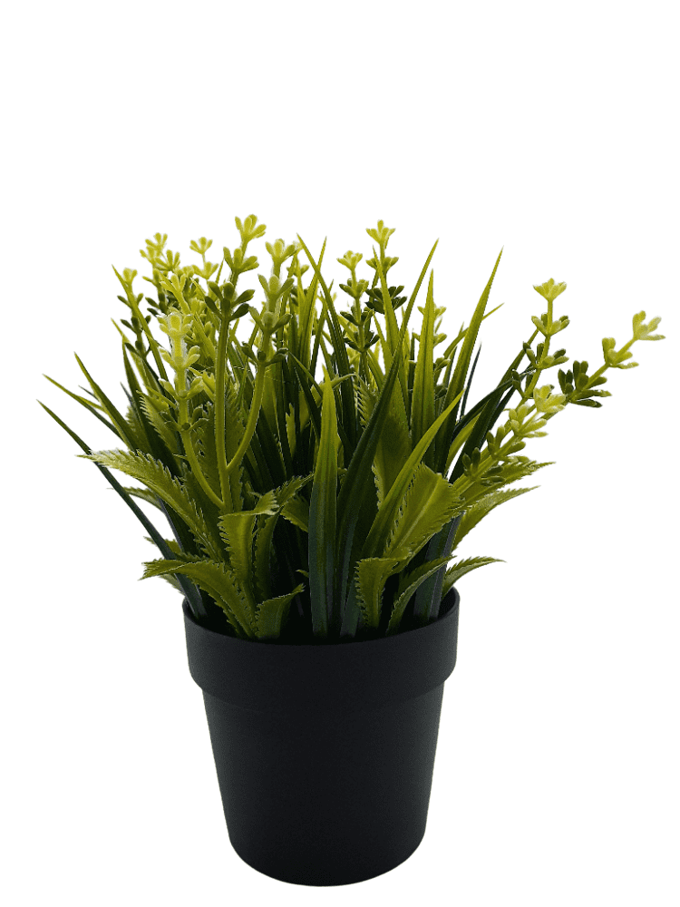Planta Artificial (0143-3-28).