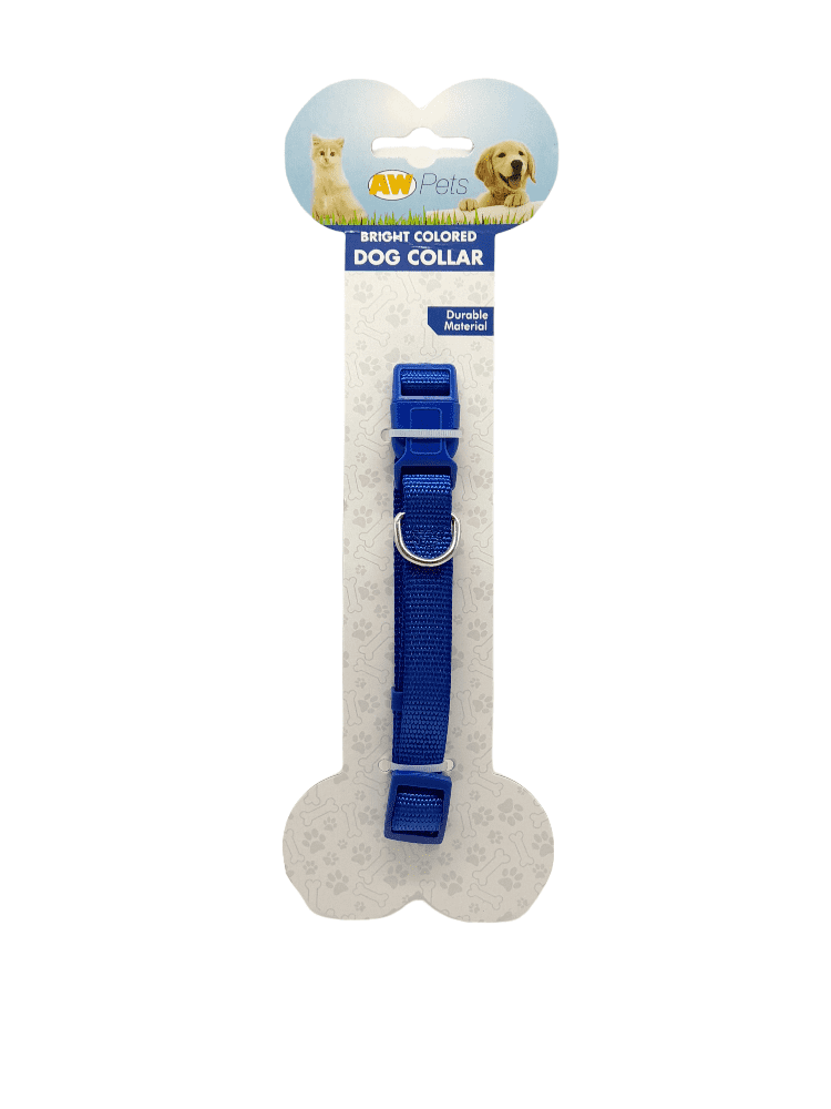 Bright Colored Dog Collar.