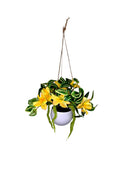 Hanging Potted Flower Arrangement