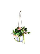 Hanging Potted Flower Arrangement
