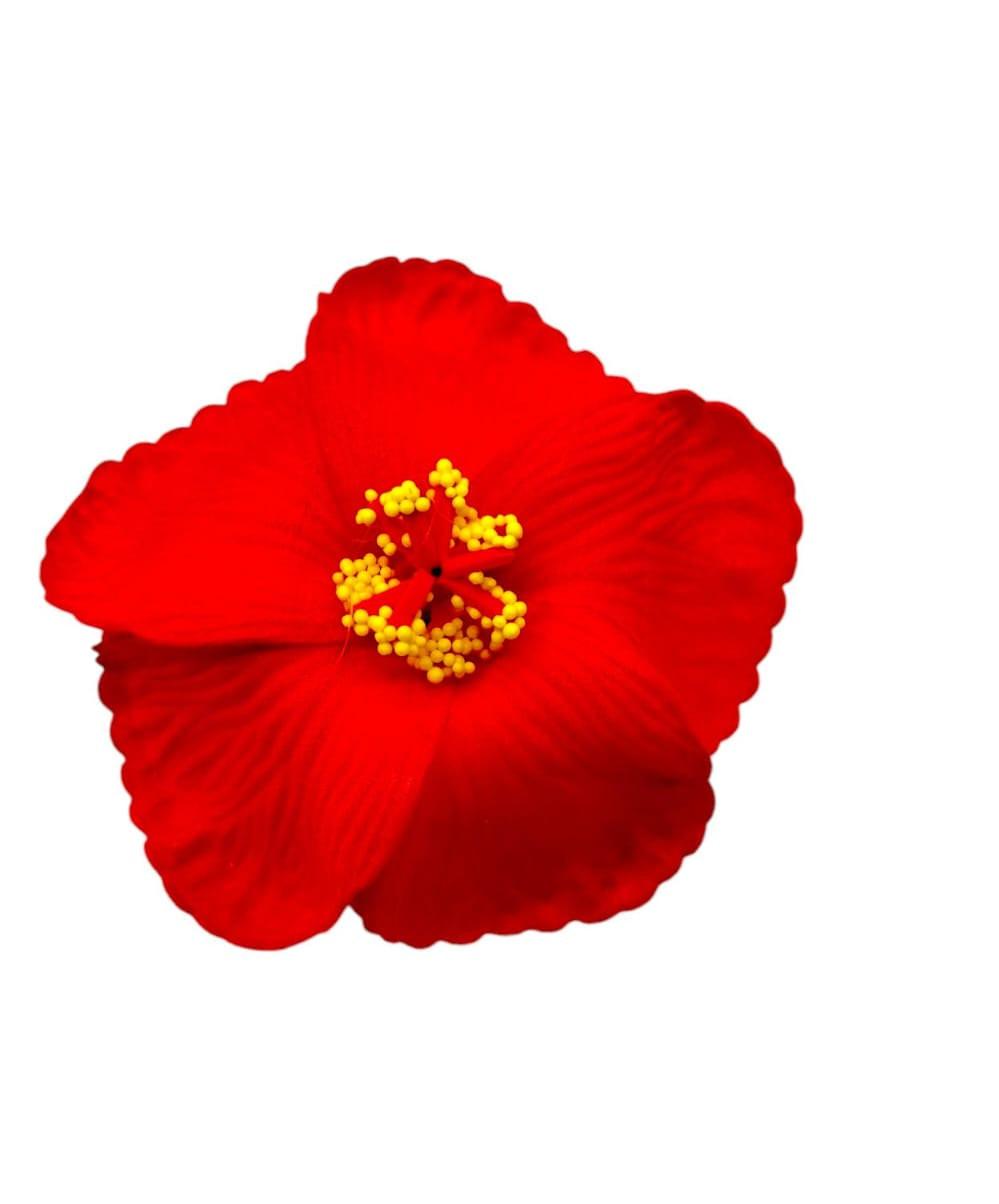 Souvenirs de Puerto Rico- Amapola con Broche