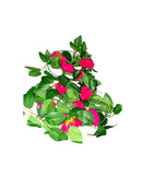 Garland de Hojas y Flores