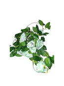 Garland de Hojas y Flores