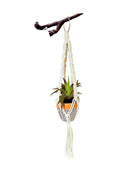 AW Home- Wall Hanging Plant Holder (Planta y tiesto no incluidas)