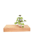 AW Home- MDF Wall shelf *DECORACIÓN NO INCLUIDAD*