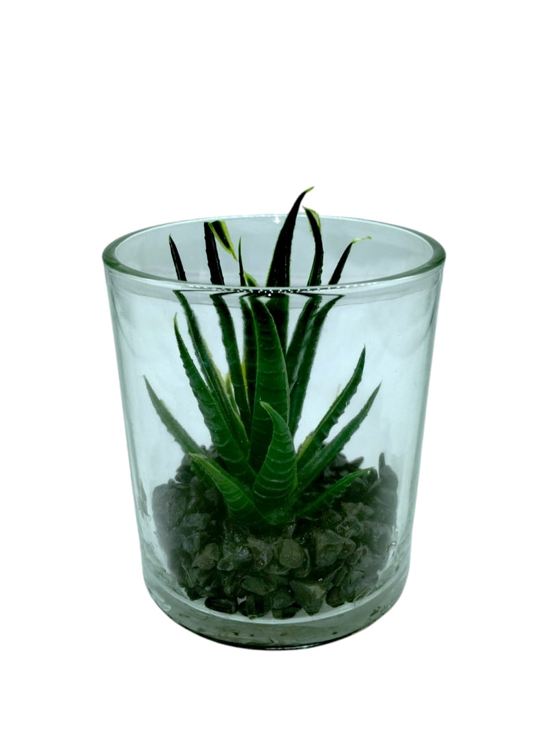 Decoración-Planta Artificial en Vaso de Cristal *SOLO RECOGIDO EN TIENDAS*