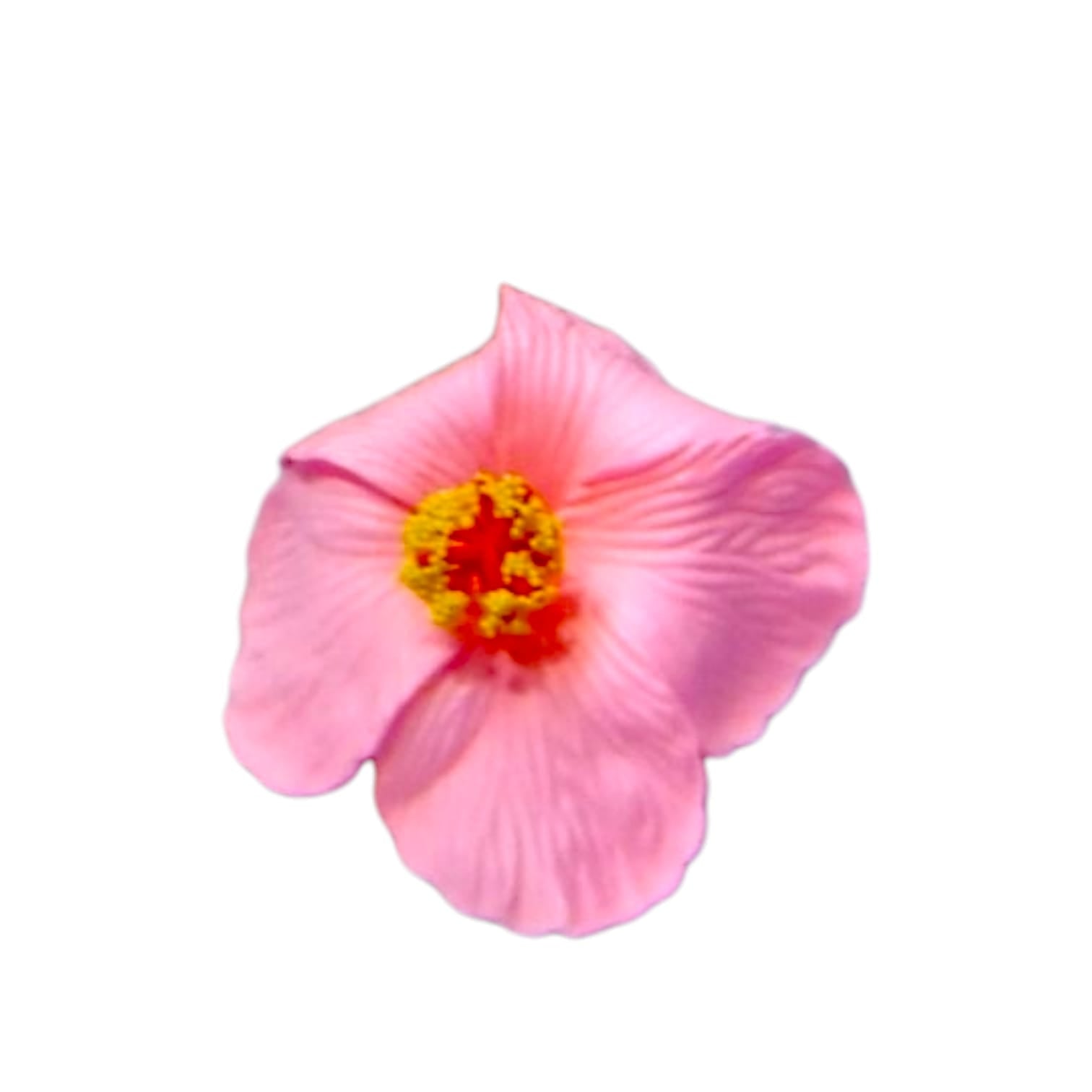 Souvenirs de Puerto Rico- Amapola con Broche