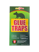 All Value- Glue Tramps