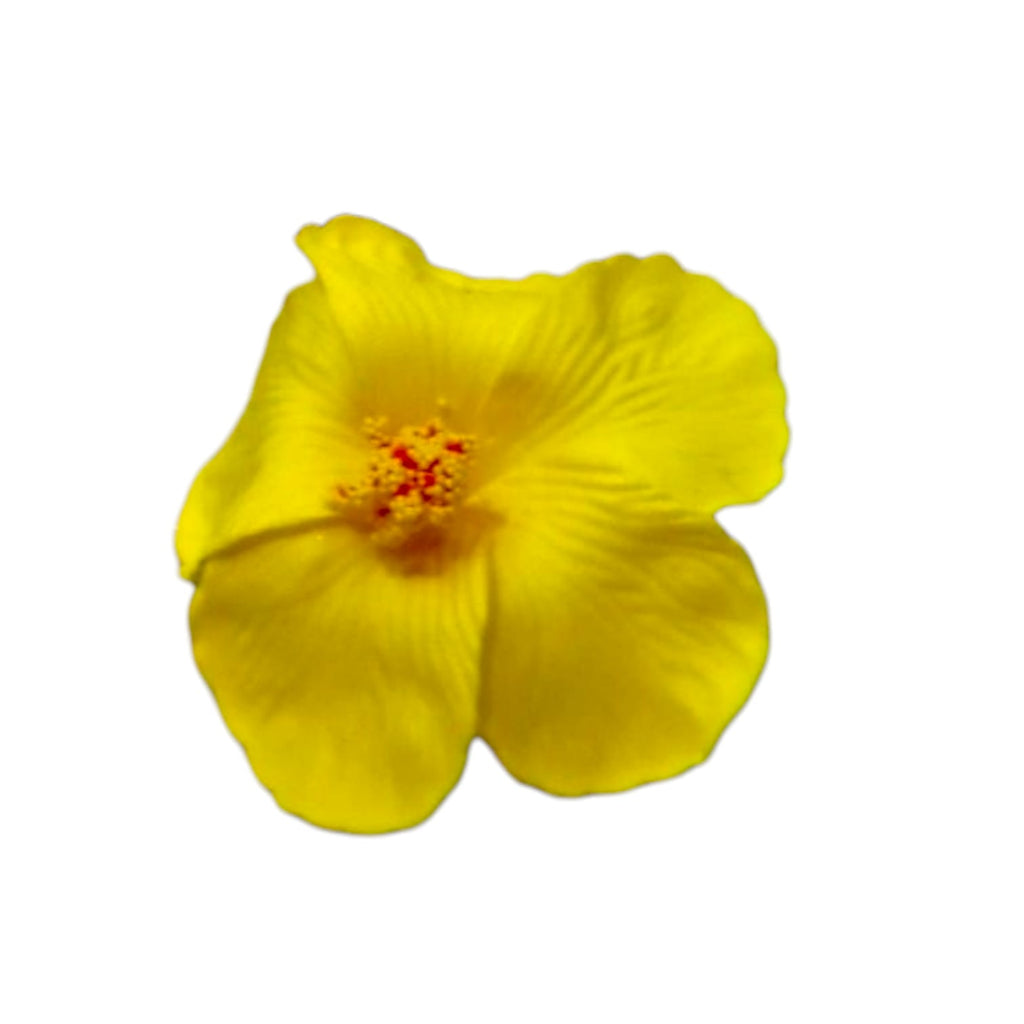 Souvenirs de Puerto Rico- Amapola con Broche