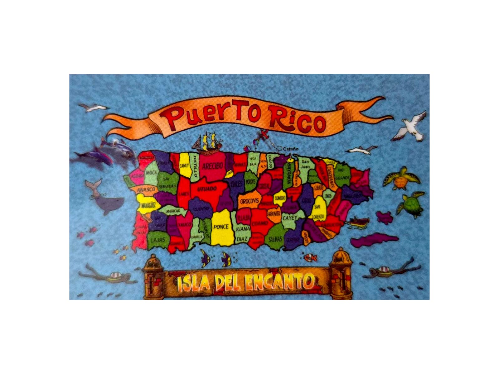 Souvenir de Puerto Rico- Acesorio de cocina (Variedad de estilo)