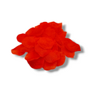 Valentine's Day - Rose Petals