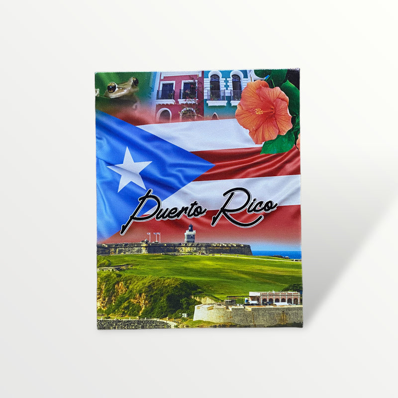 Souvenir from Puerto Rico - Small Canvas Painting