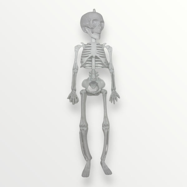 Halloween Day - Decoración de Esqueleto (28x11x4.5cm)