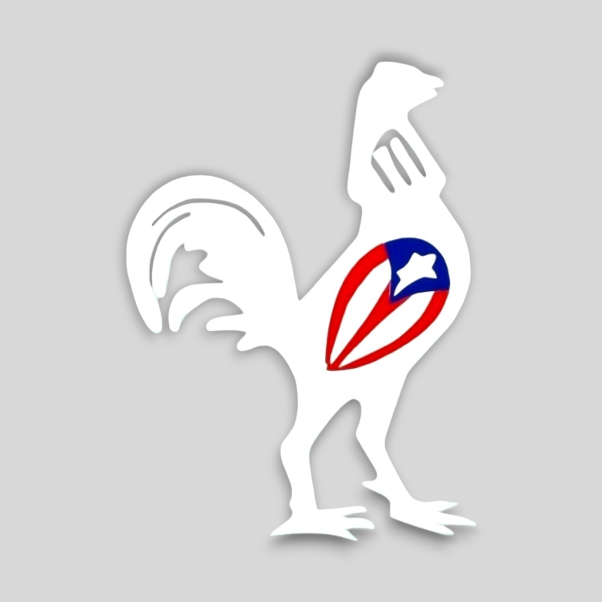 Souvenirs de Puerto Rico - Stickers de Puerto Rico *NO INCLUYE EL VASO*