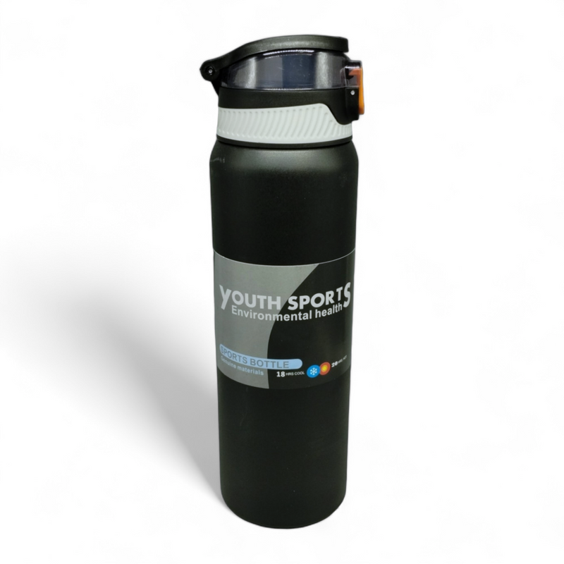 Stainless Steel Bottle (28oz)