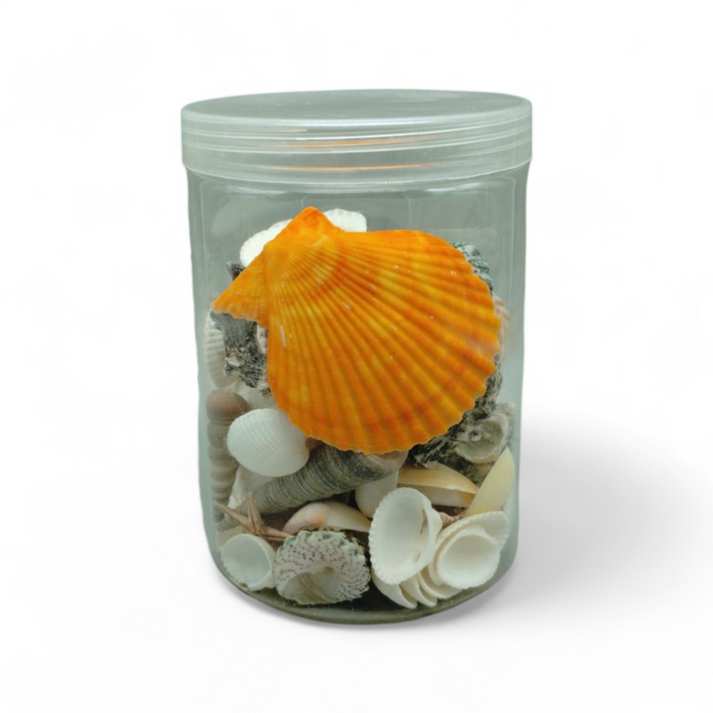 Mixed Shell Plastic Jug (8.3oz)