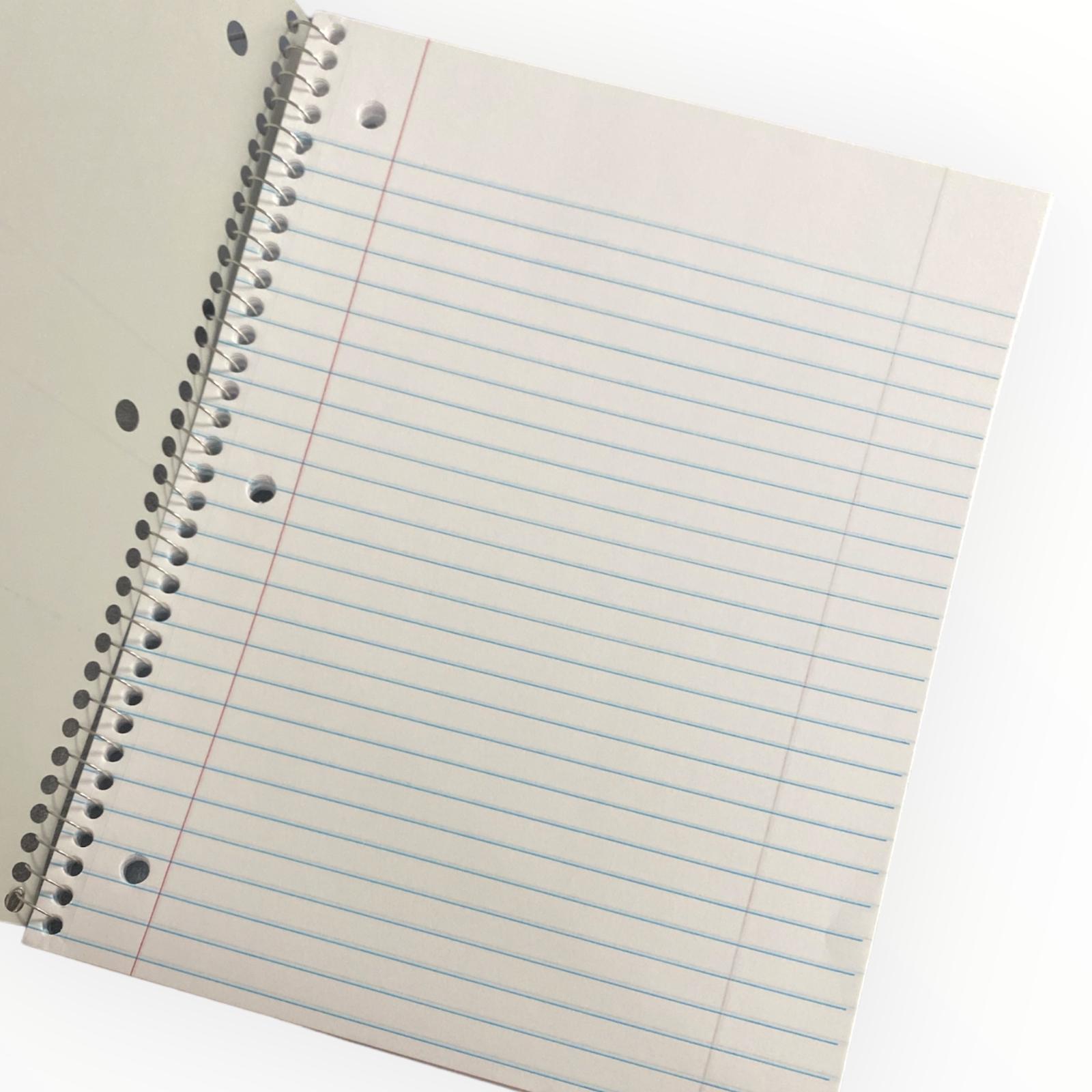 Large Ring Binder Notebooks - Mint Green Softcover (80 pages / Wide Ruled)