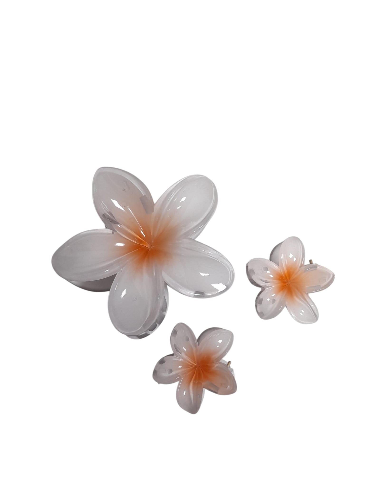 Hair Clips.