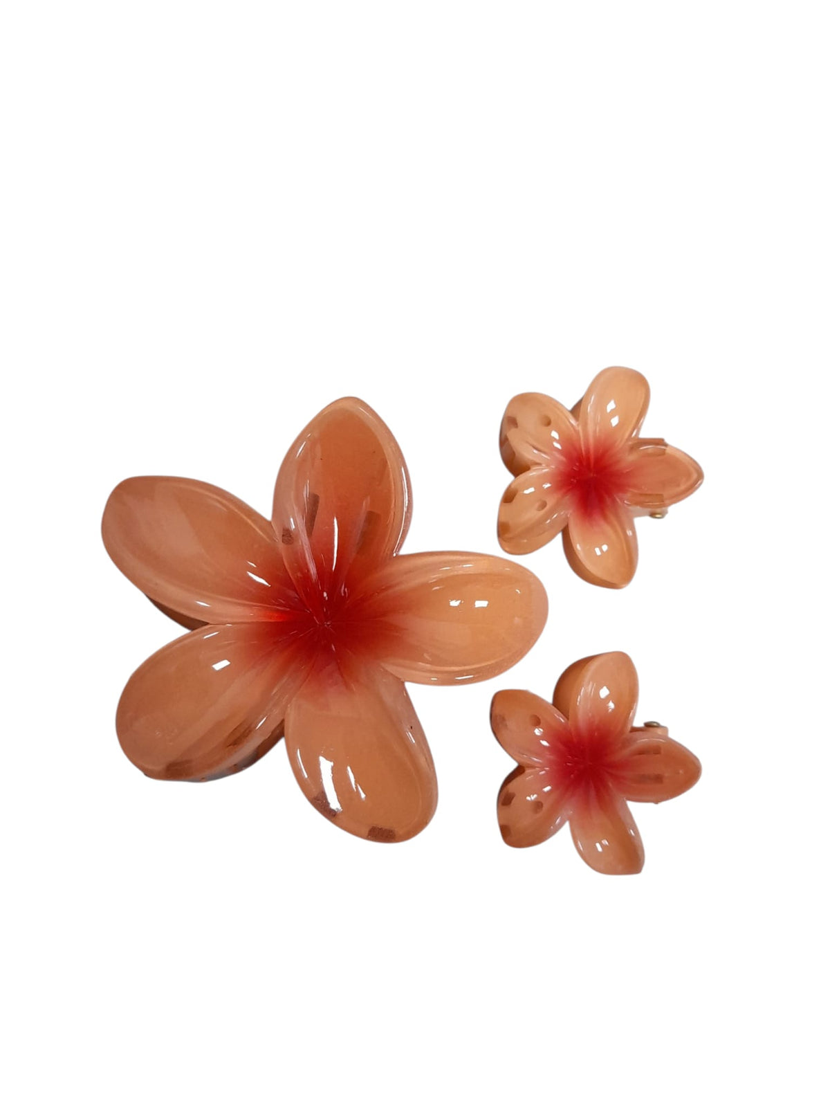 Hair Clips.