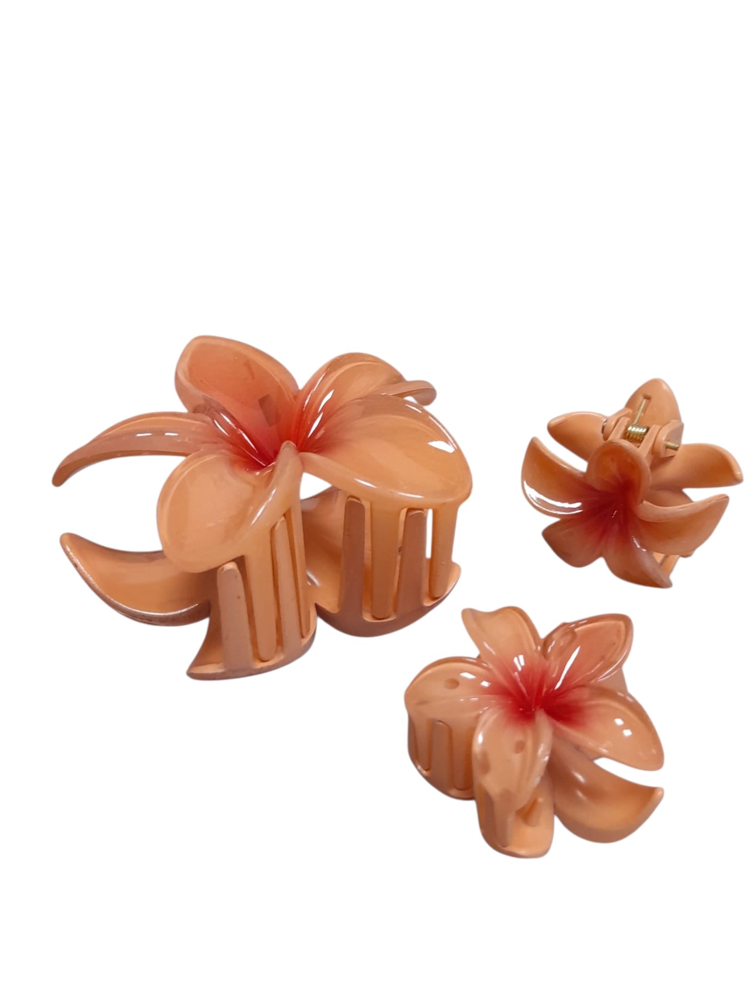 Hair Clips.