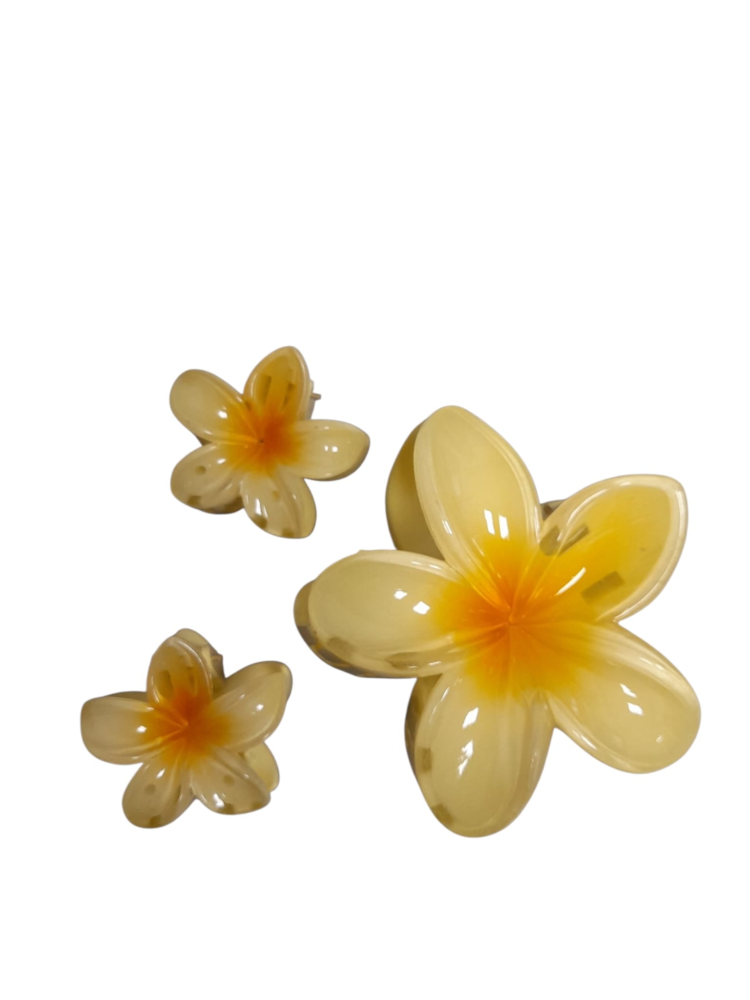Hair Clips.