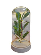 Lámpara Decorativa con Cúpula de Cristal y Luces LED