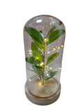 Lámpara Decorativa con Cúpula de Cristal y Luces LED