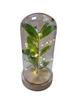 Lámpara Decorativa con Cúpula de Cristal y Luces LED
