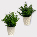 Decorative Artificial Plants - Regular Size / White Plastic Pot