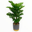 Decorative Artificial Plants - Grey Pot with Gold Trim