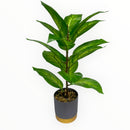 Decorative Artificial Plants - Grey Pot with Gold Trim