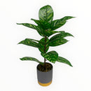 Decorative Artificial Plants - Grey Pot with Gold Trim
