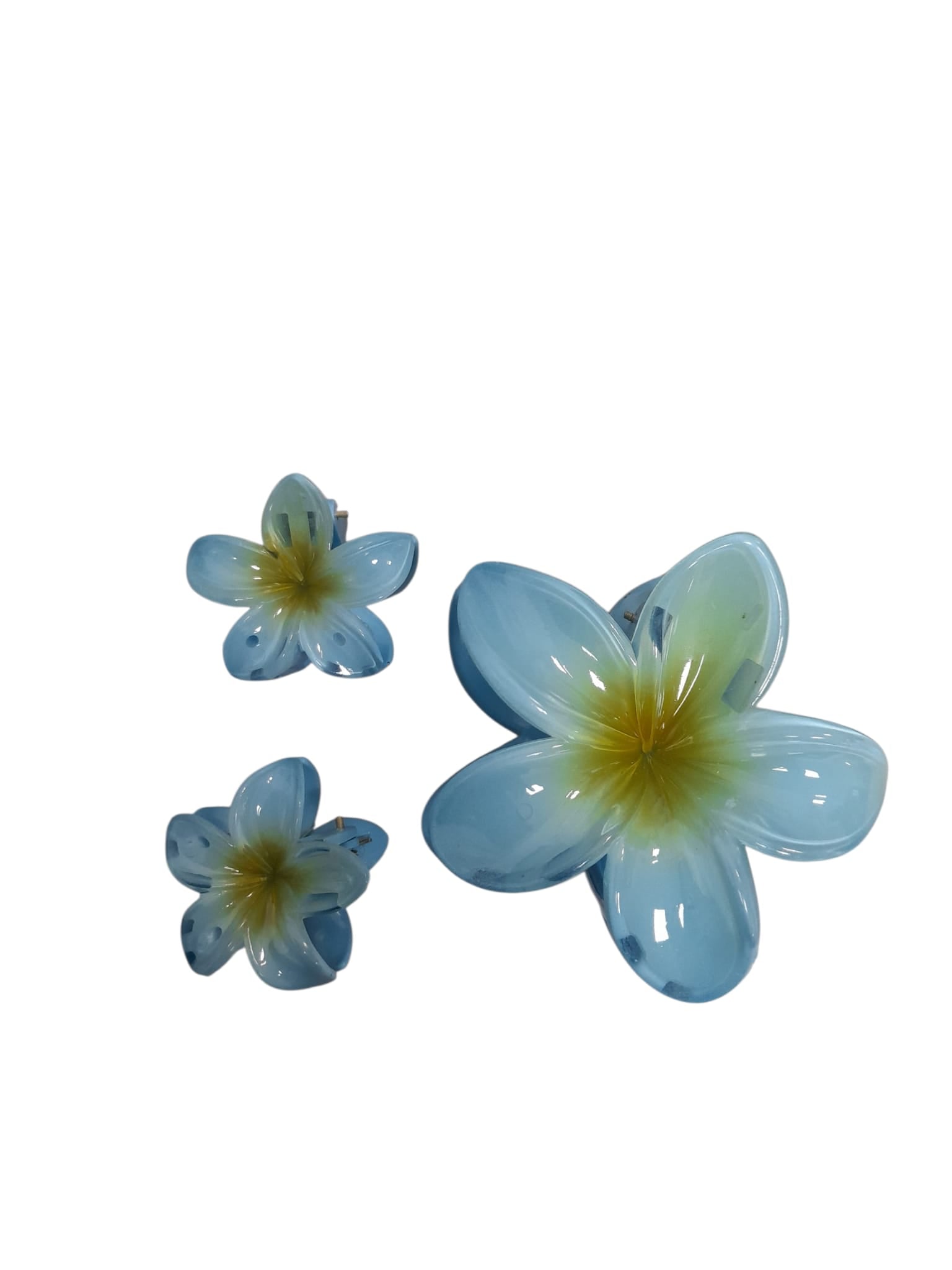 Hair Clips.