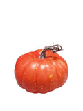 Calabaza Decorativa Estilo Rústico para Otoño