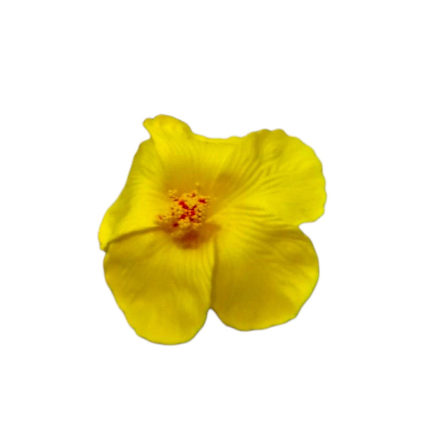 Souvenirs de Puerto Rico- Amapola con Broche