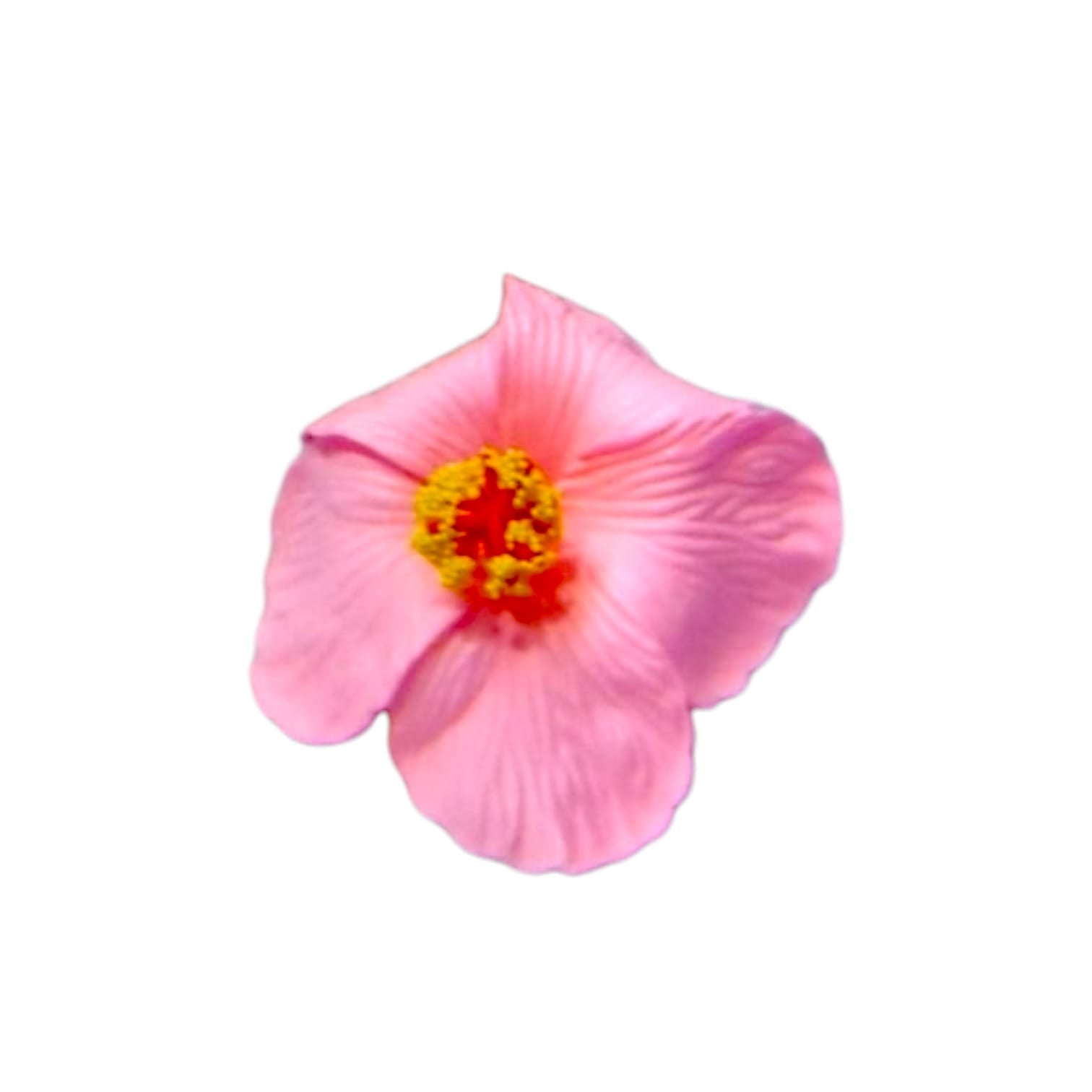 Souvenirs de Puerto Rico- Amapola con Broche