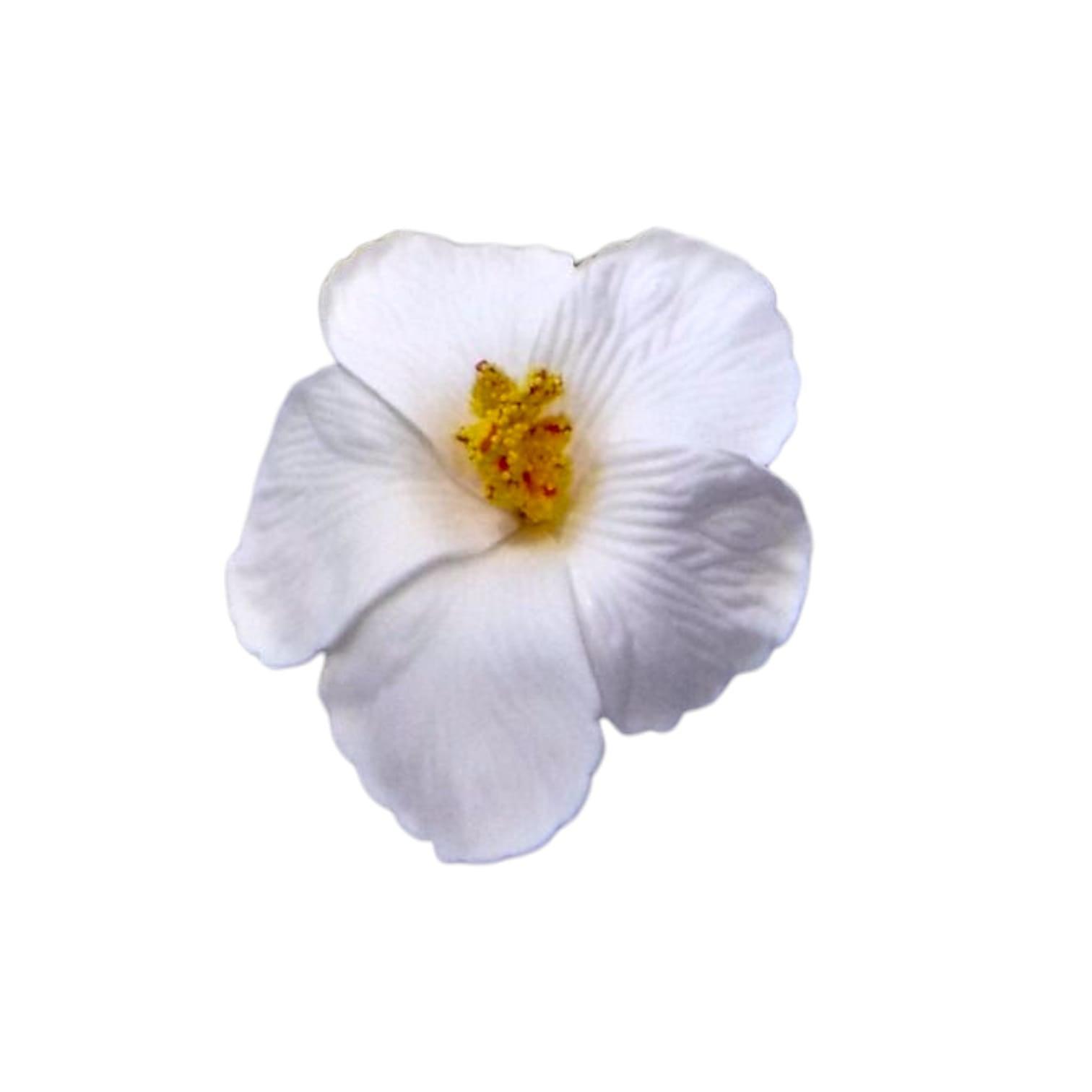 Souvenirs de Puerto Rico- Amapola con Broche