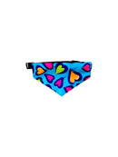 AW Pets - Pet Bandana