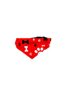 AW Pets- Pet Bandana