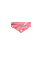 AW Pets- Pet Bandana