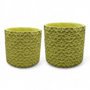 Floreros con Grabado de Flores (4.8" x 4.3") *NO ENVIOS POR CORREO*