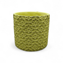 Floreros con Grabado de Flores (4.8" x 4.3") *NO ENVIOS POR CORREO*