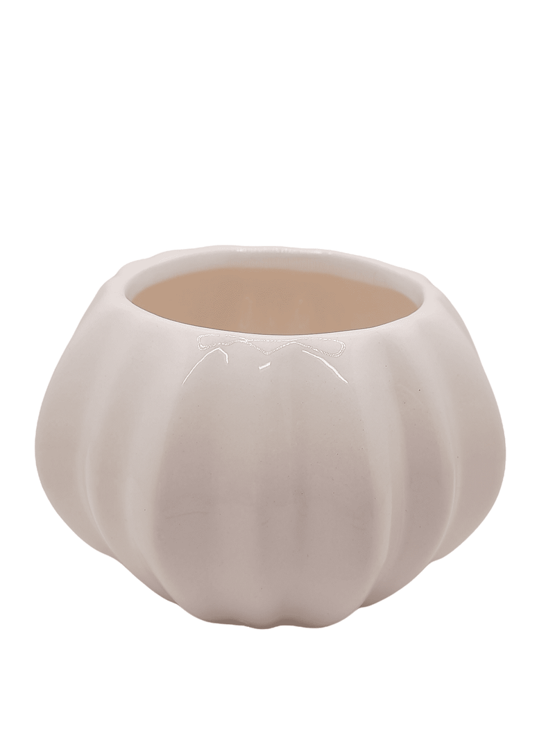 Ceramic Pot.