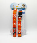 Collar and Leash Set - 2pcs.