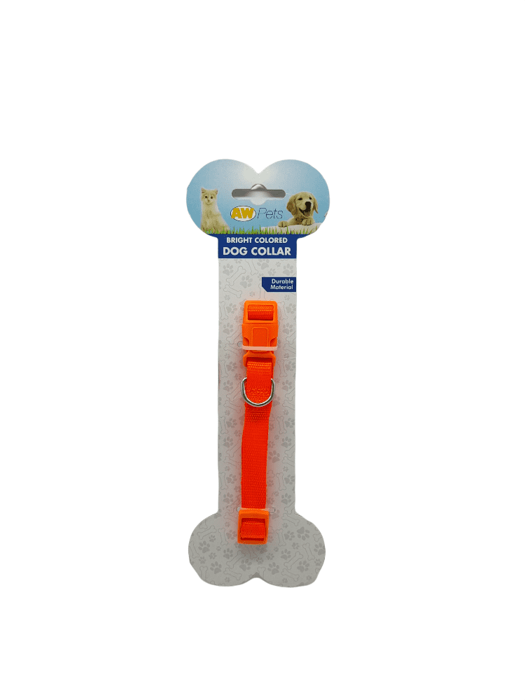 Bright Colored Dog Collar.