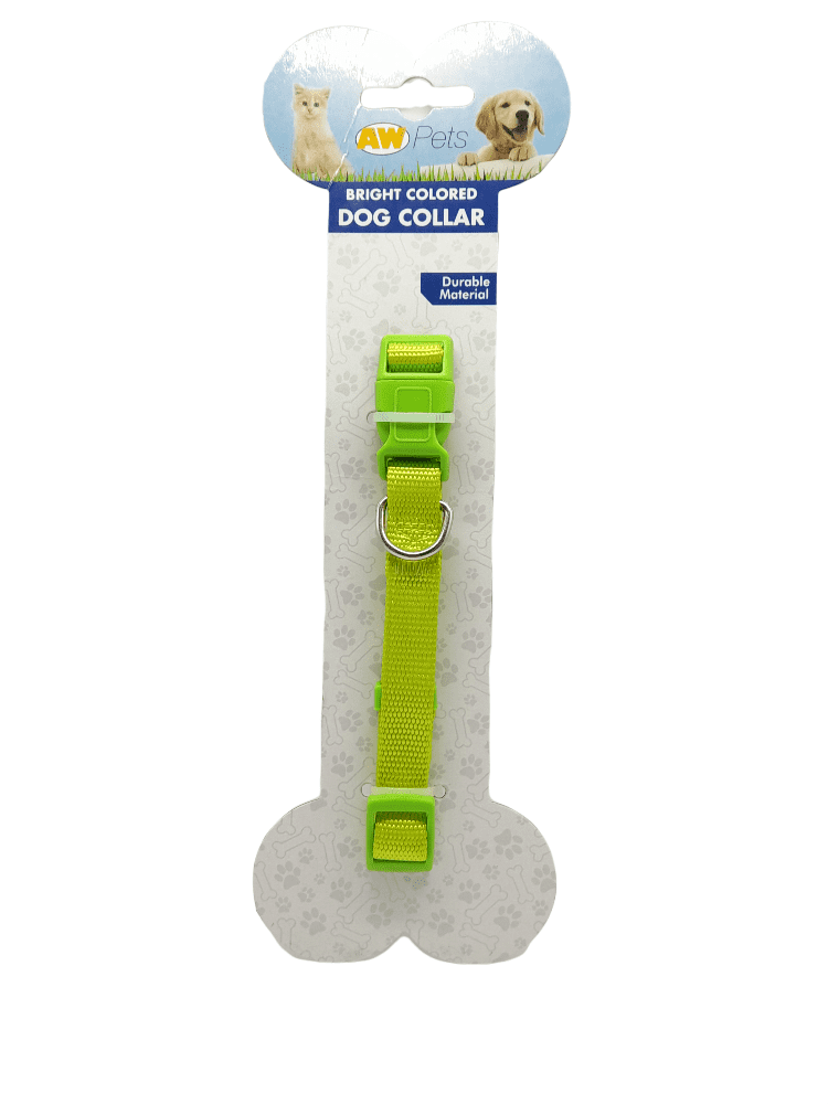 Bright Colored Dog Collar.