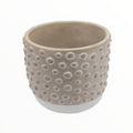 Cement Flower Pot (3 Estilos).